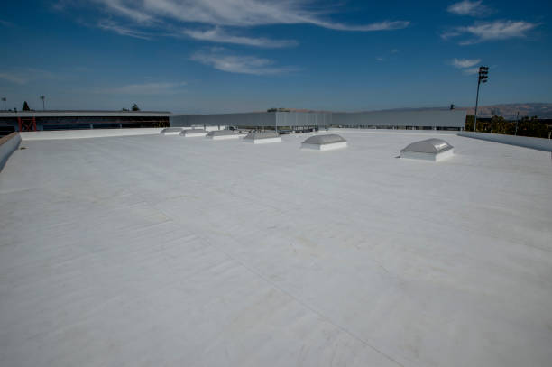 Best Chimney Flashing Repair  in Lavonia, GA