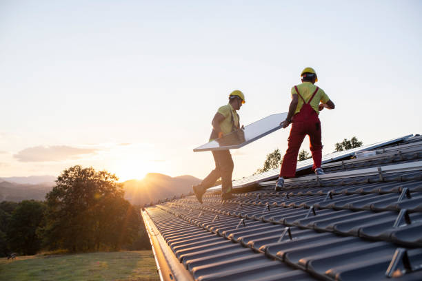 Best Storm Damage Roof Repair  in Lavonia, GA