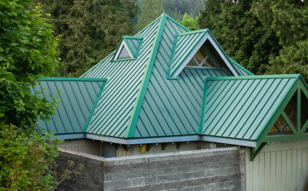 Best Gutter Installation and Repair  in Lavonia, GA