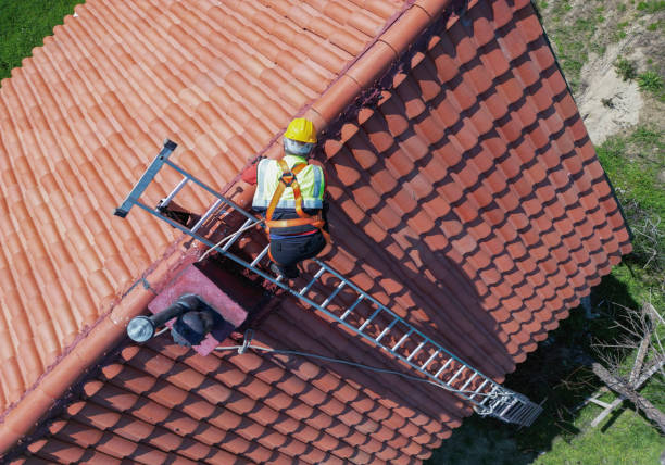 Best Asphalt Shingles Roofing  in Lavonia, GA